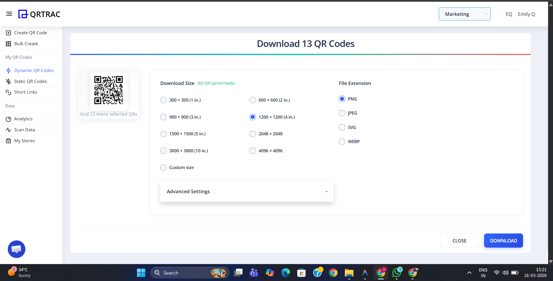 Advanced Download Settings panel showing sizes, formats, and margin controls